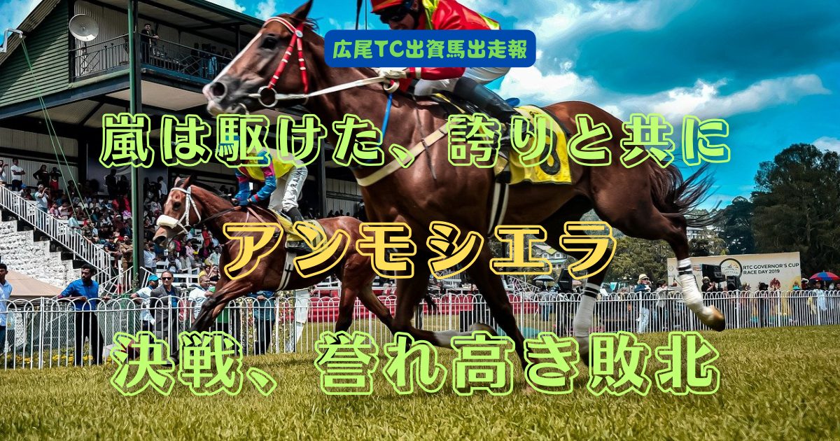 嵐は駆けた、誇りと共に　アンモシエラ　決戦、誉れ高き敗北